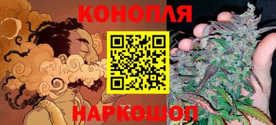 шишки Абакан