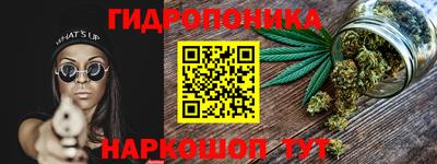 Альфа ПВП Гусев