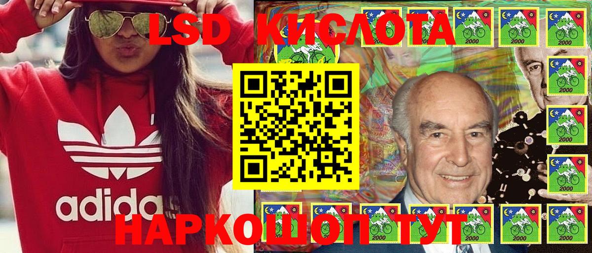 A PVP Котовск