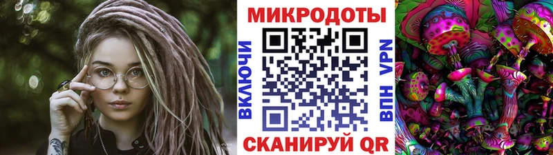 сколько стоит  блэк спрут как войти  Псилоцибиновые грибы GOLDEN TEACHER  Котовск 