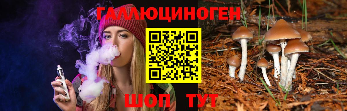 Псилоцибиновые грибы Magic Shrooms  Вход с VPN  Галлюциногенные грибы MAGIC MUSHROOMS  Котовск 